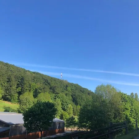 Appartement Fewo Usseln Mitte - Deutsches Haus Willingen (Upland)