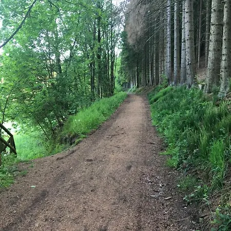 Fewo Usseln Mitte - App D - Deutsches Haus * Willingen (Upland)