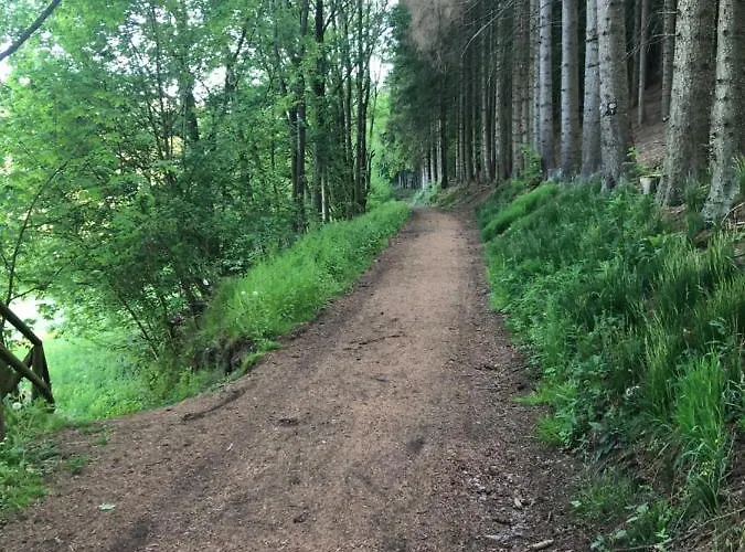 Fewo Usseln Mitte - Deutsches Haus * 빌링겐